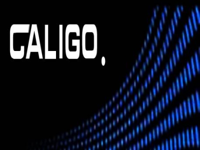 CALIGO自由曲面