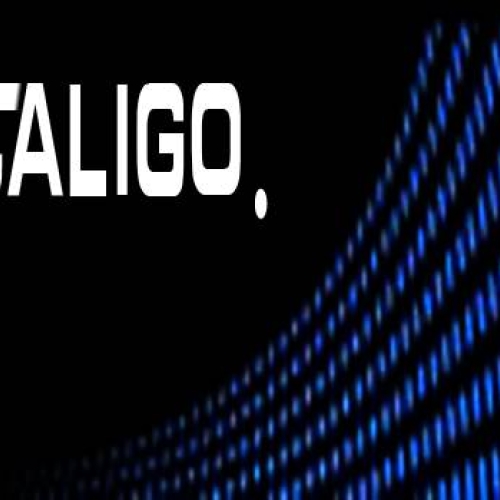 CALIGO自由曲面