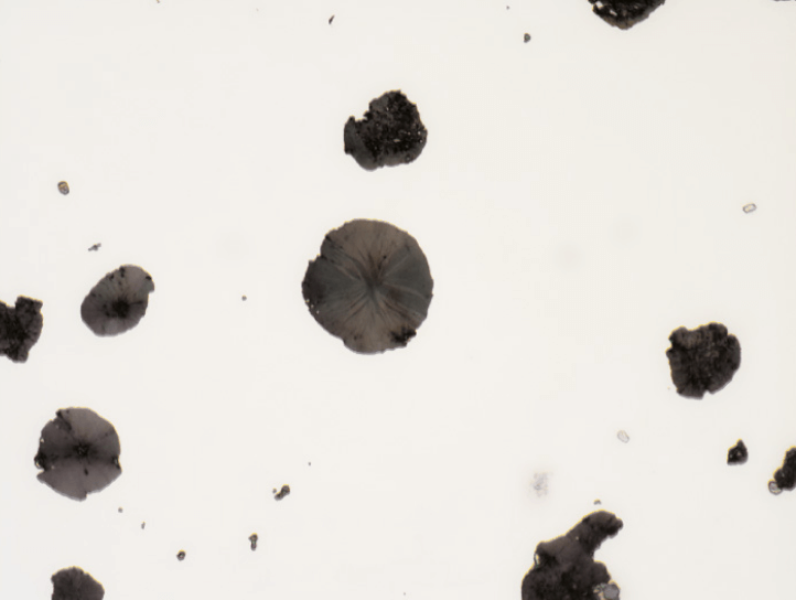 蔡司 Axio Imager 2 for Materials Research